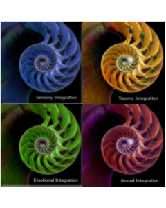 Integration Series Mp3 Download : All Four Recordings : Pure Frequency Medicine 